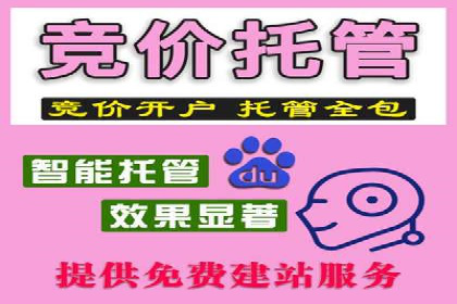 SEM服务公司助力企业竞争案例